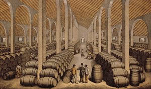 Cantina a Jerez de la Frontera